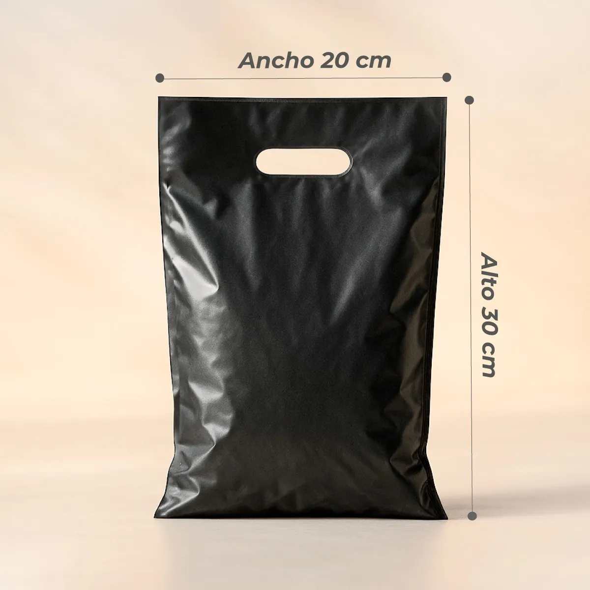 Bolsa para Boutique color Negro de 20X30 cm Medidas