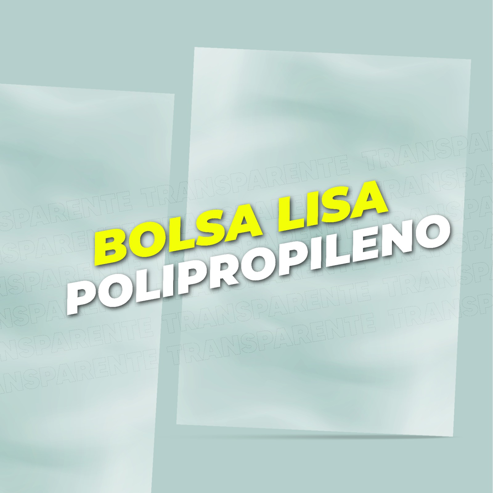 Bolsa Lisa PP 5.50*8 (14*20 CM)